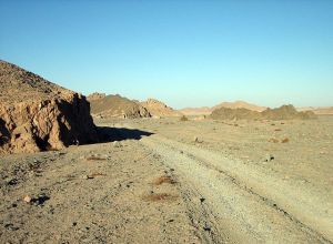 in_the_desert_(2430388800)