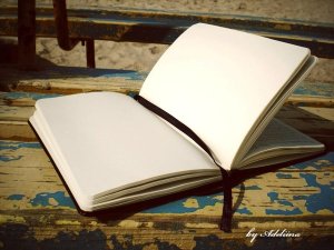 empty_pages_in_my_diary_by_adeliina