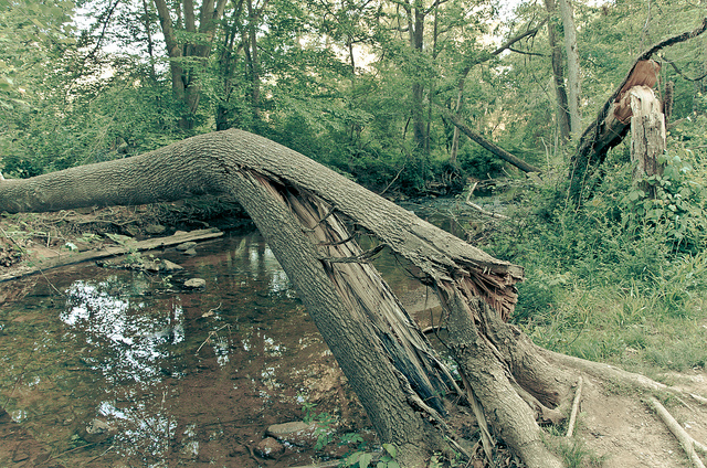 7252952428_bbb2ac6542_z