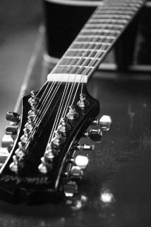 twelve-string-guitar_19-116413